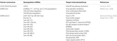 Small Non-coding RNAs: Do They Encode Answers for Controlling SARS-CoV-2 in the Future?